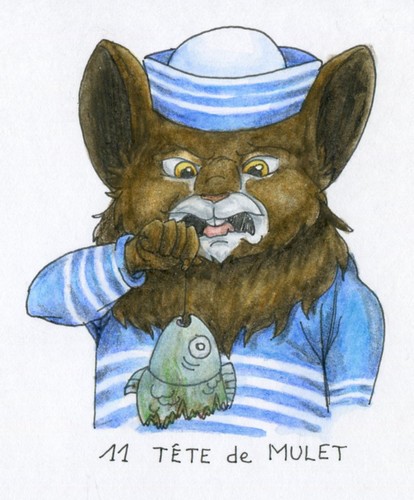 11.t&ecirc;te de mulet