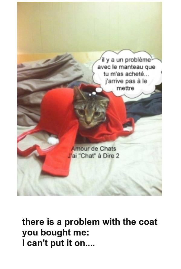 Mon image
