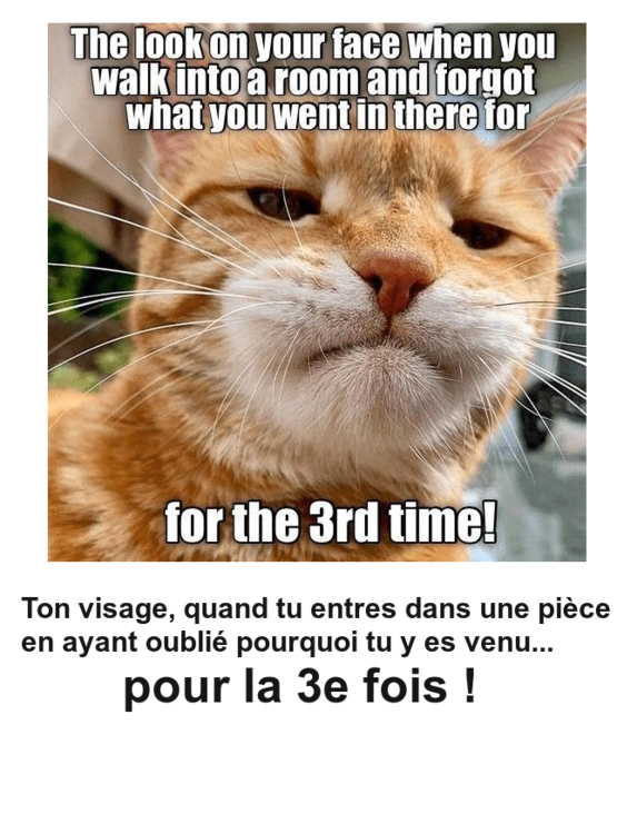 Mon image