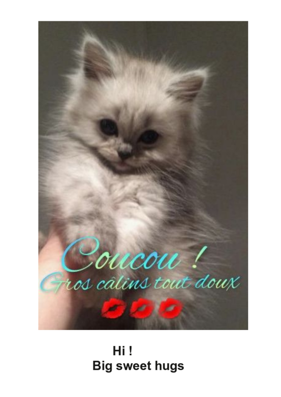 Mon image