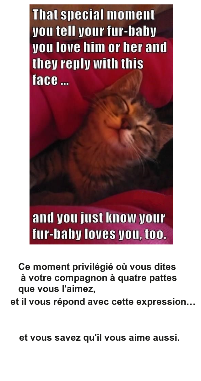 Mon image