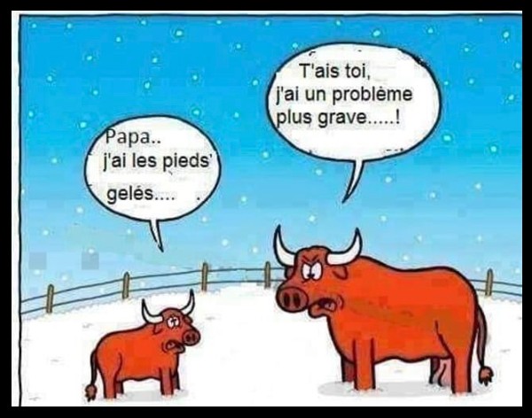 448176677_809438124613825_2497431620566899705_n