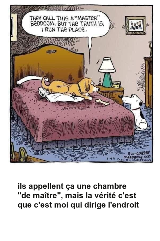 Mon image