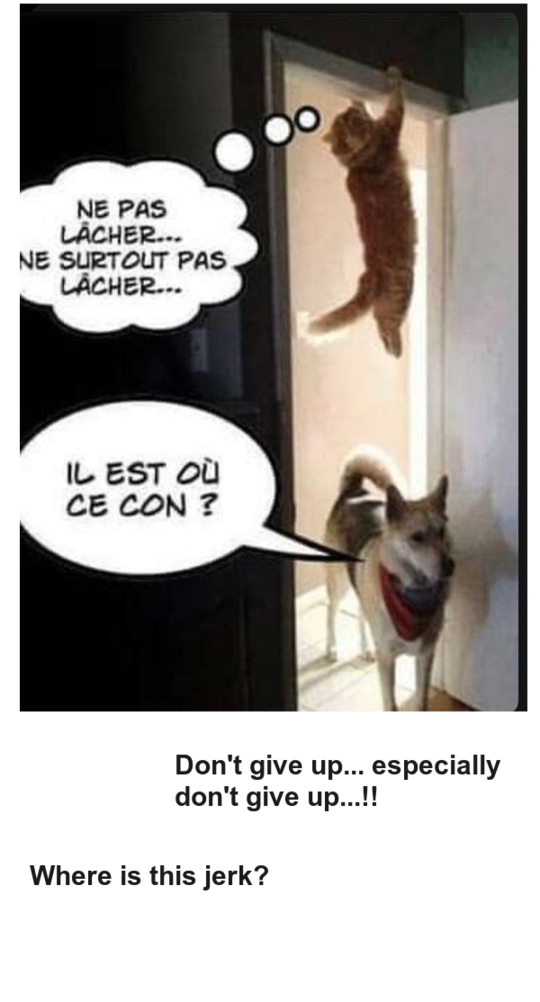 Mon image
