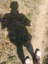 Mon image
