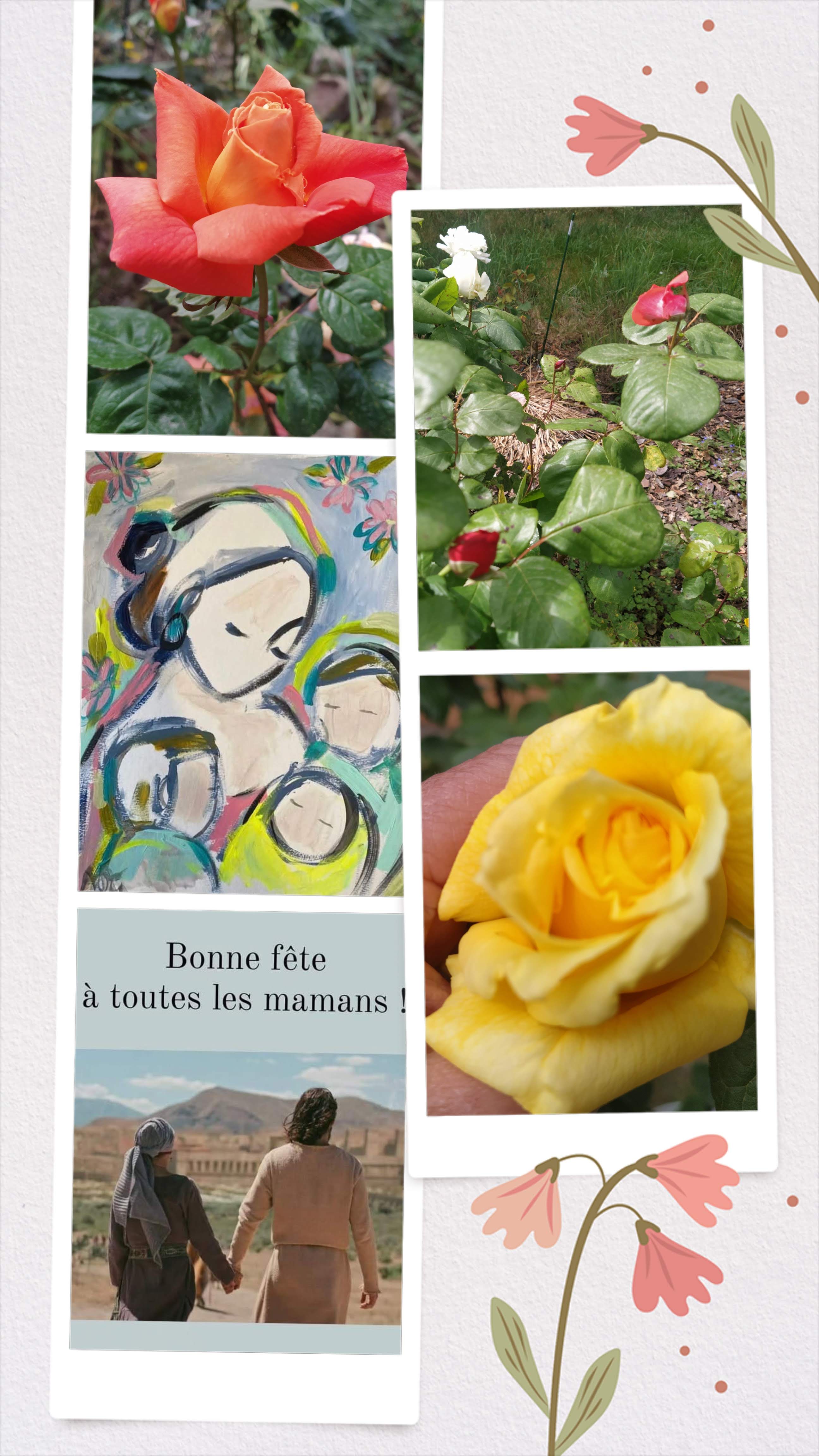 20250521_215144-COLLAGE