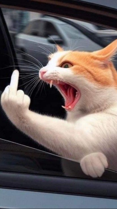 Mon image