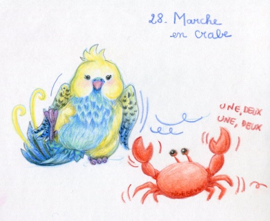 28.marche en crabe
