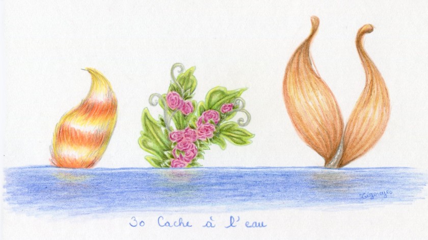 30.cache &agrave; l'eau