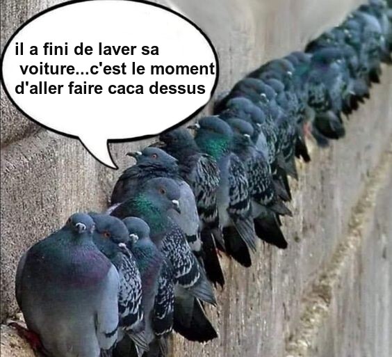 Mon image