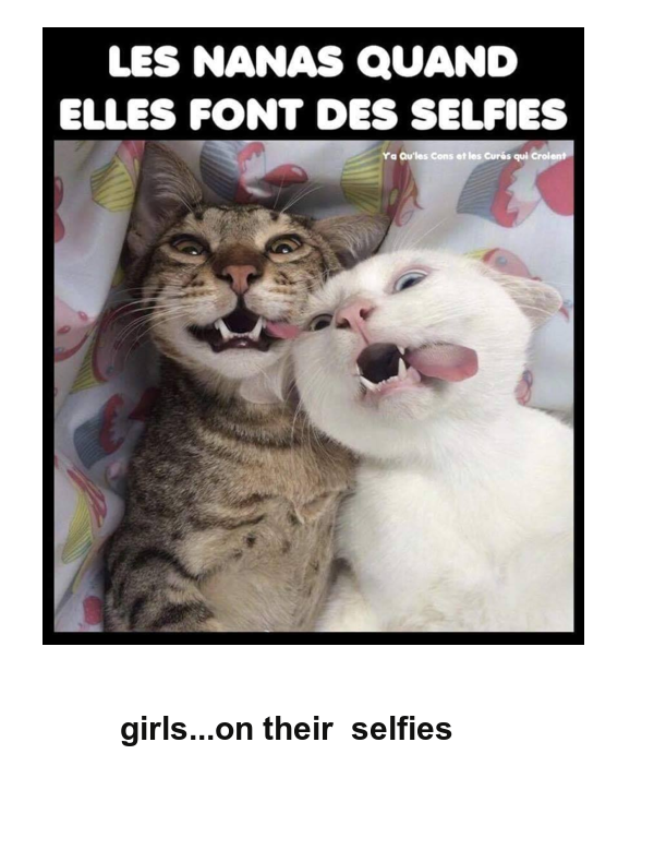 Mon image