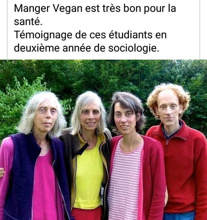 498549283_1246156607516165_7490078880820425317_n