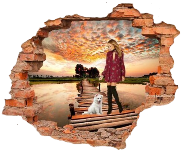 Mon image