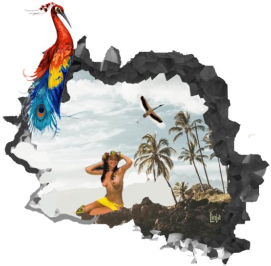 Mon image
