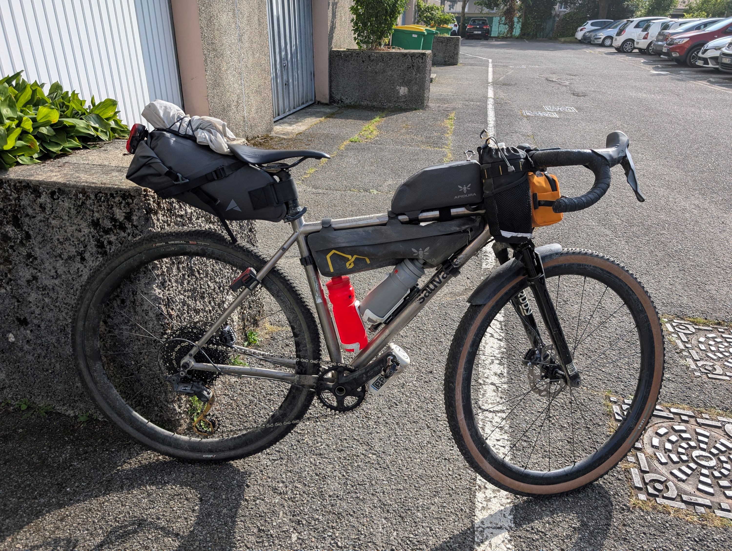 PXL_20250614_161714513 petit