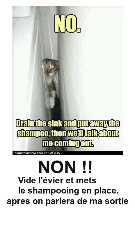 Mon image