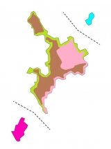 Cartes