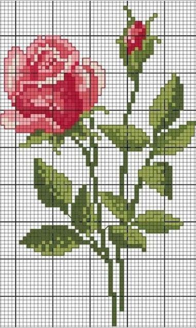 4fd78db5f482f1b0462503b8b71c0428