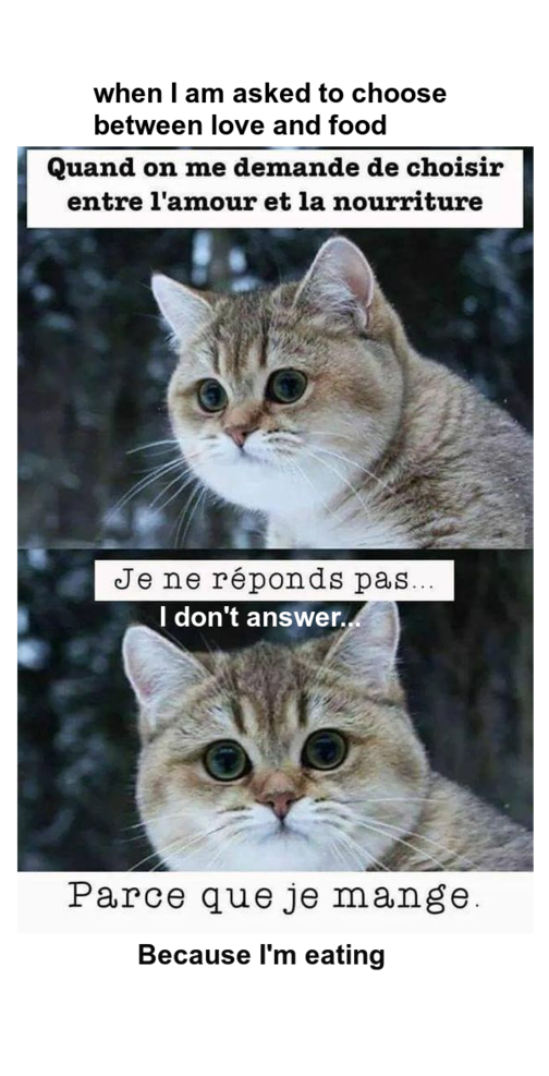 Mon image