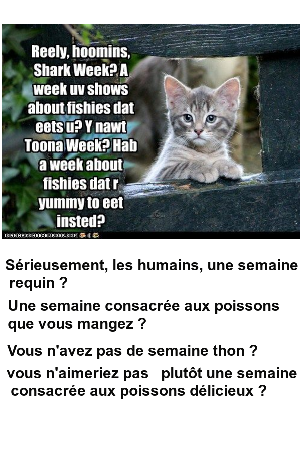 Mon image