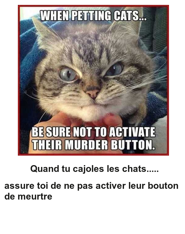 Mon image