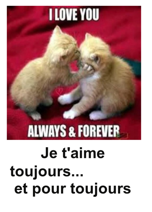Mon image