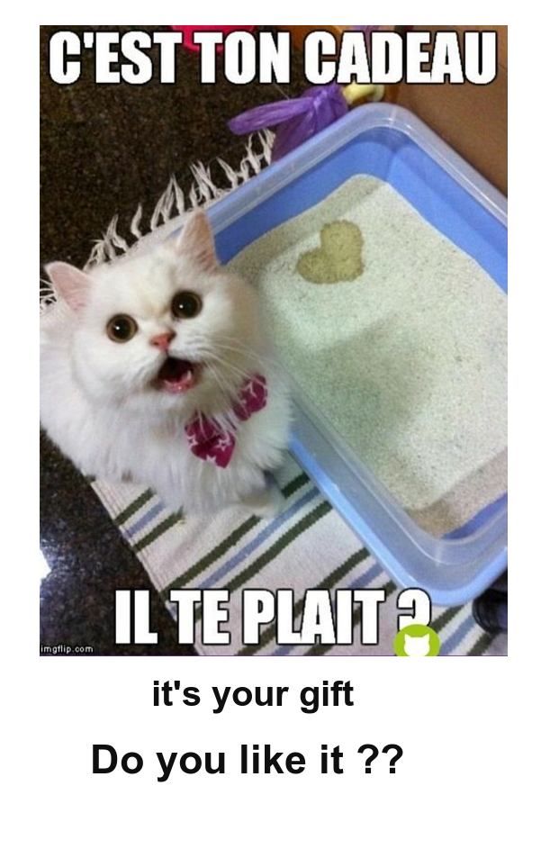 Mon image