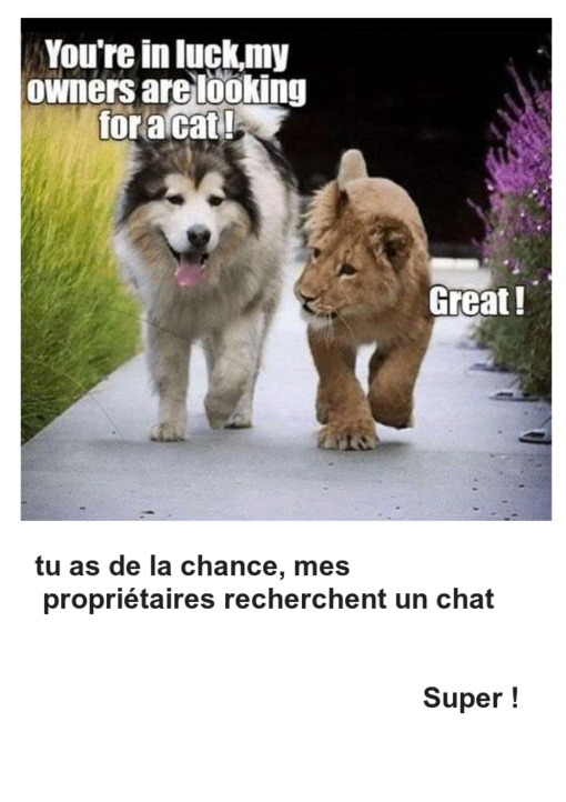 Mon image