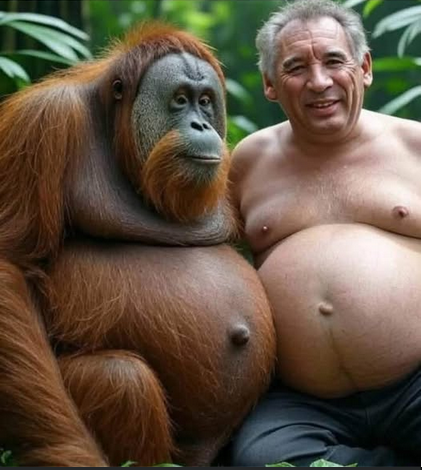 2025-07-29 17_25_04-Facebook ? Mozilla Firefox