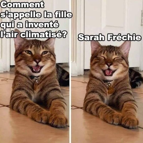 Mon image