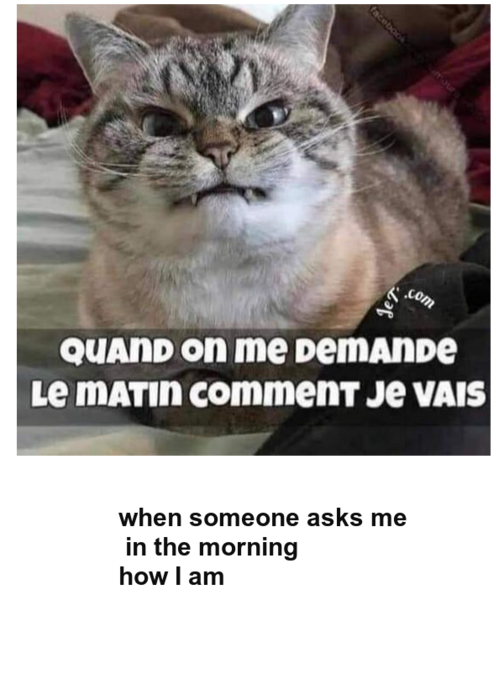 Mon image
