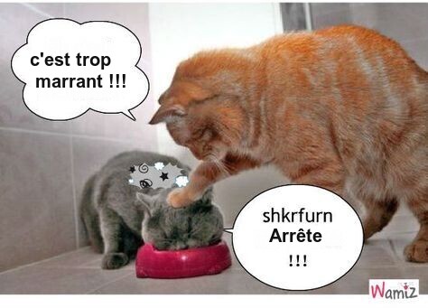 Mon image