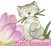 Mon image