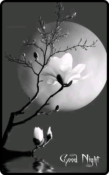 Mon image