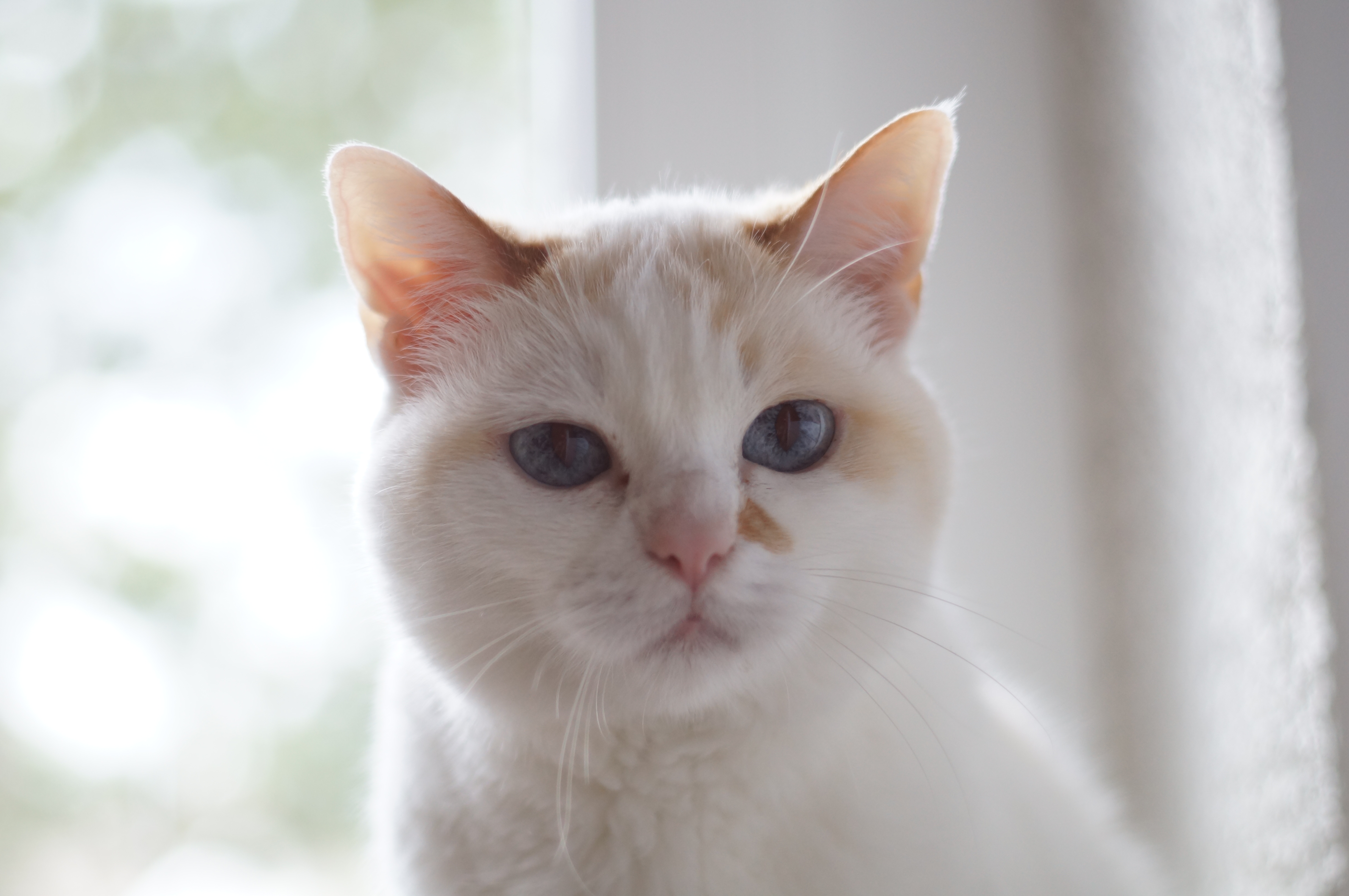 D15A283A-78FB-4DFB-8A63-B7CC1F9EC0EF.