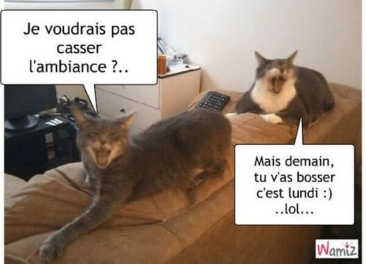 Mon image