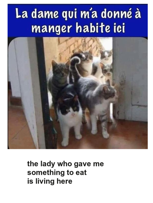 Mon image