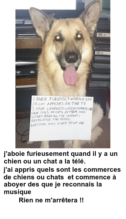 Mon image