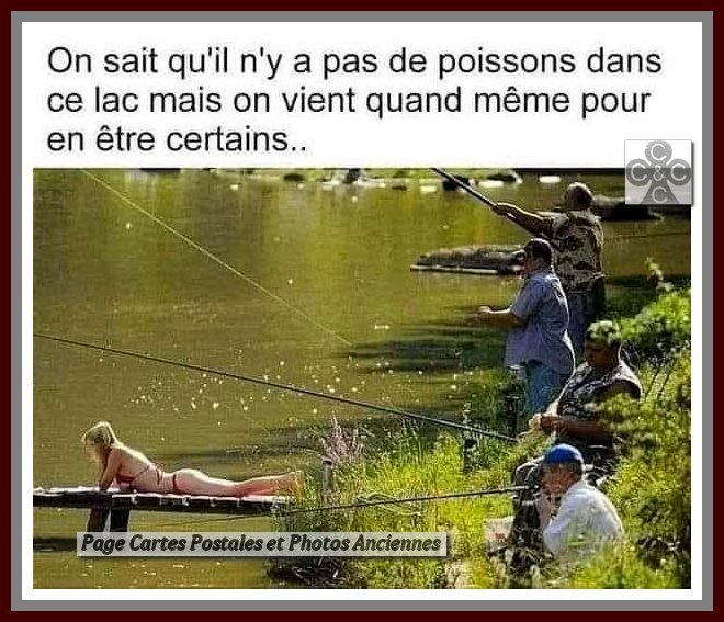 533479920_1595982888356945_8080342667122424504_n