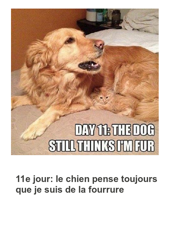 Mon image