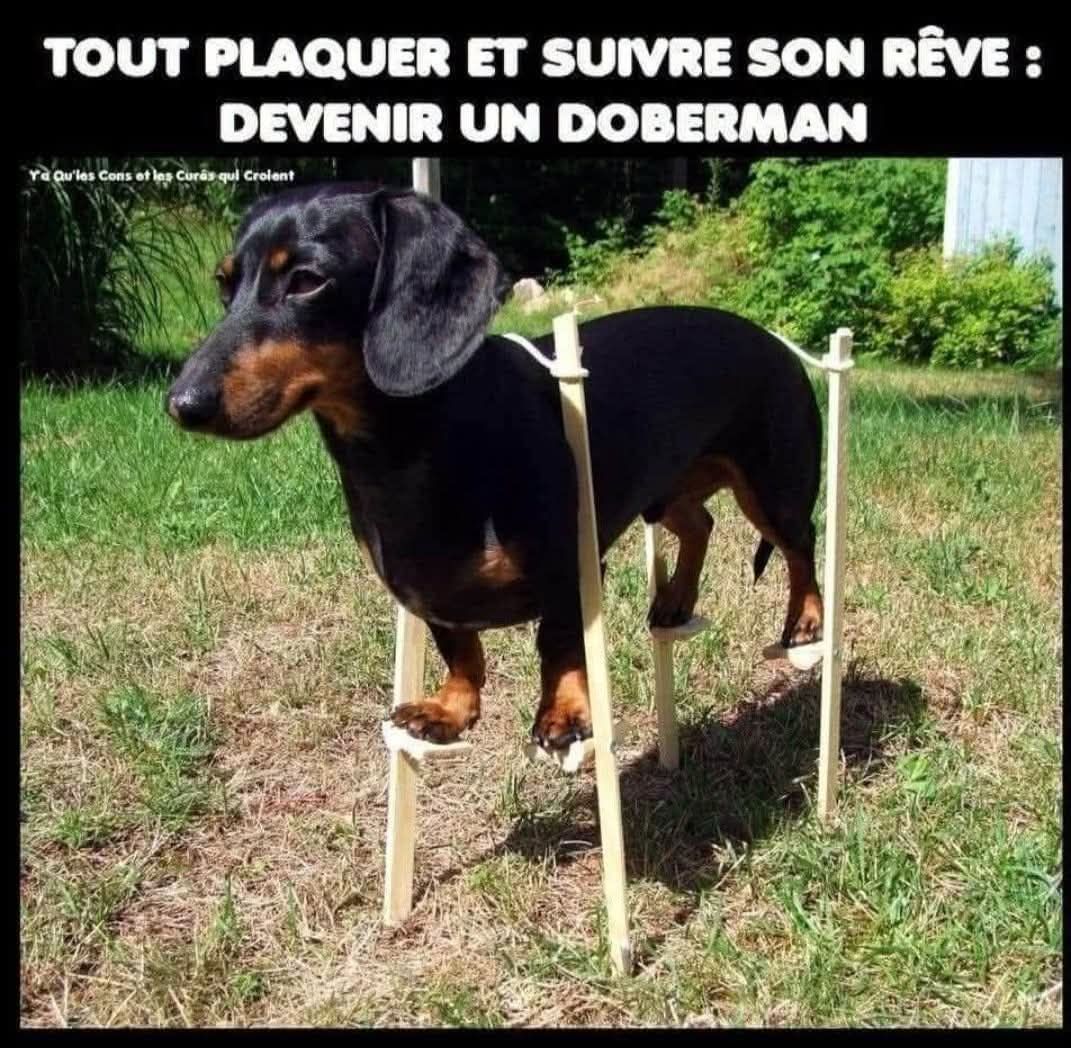 525093056_10228550021510795_5897781360411044865_n