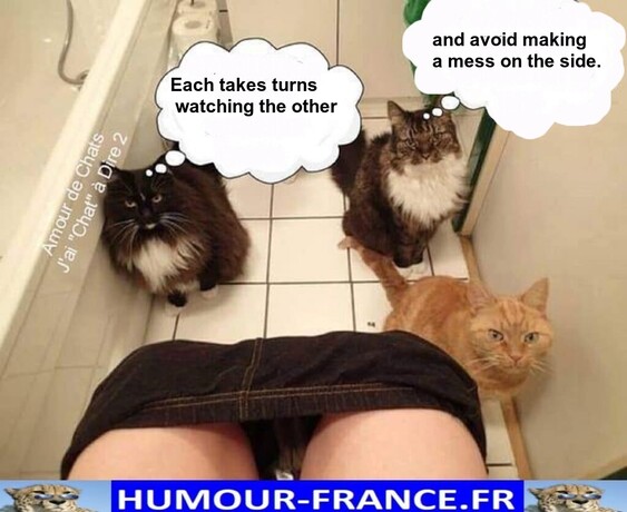 Mon image