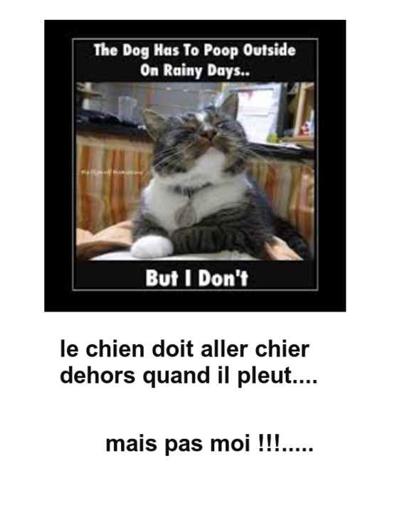 Mon image