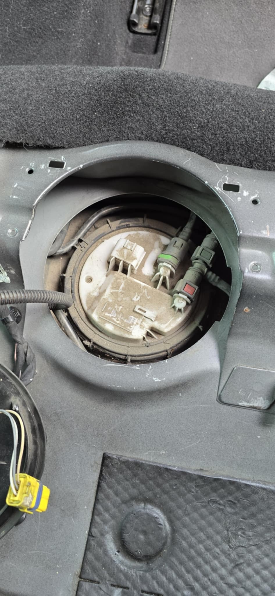 a8a73f2c-fbb9-4c1b-931d-789e1bc4e00e