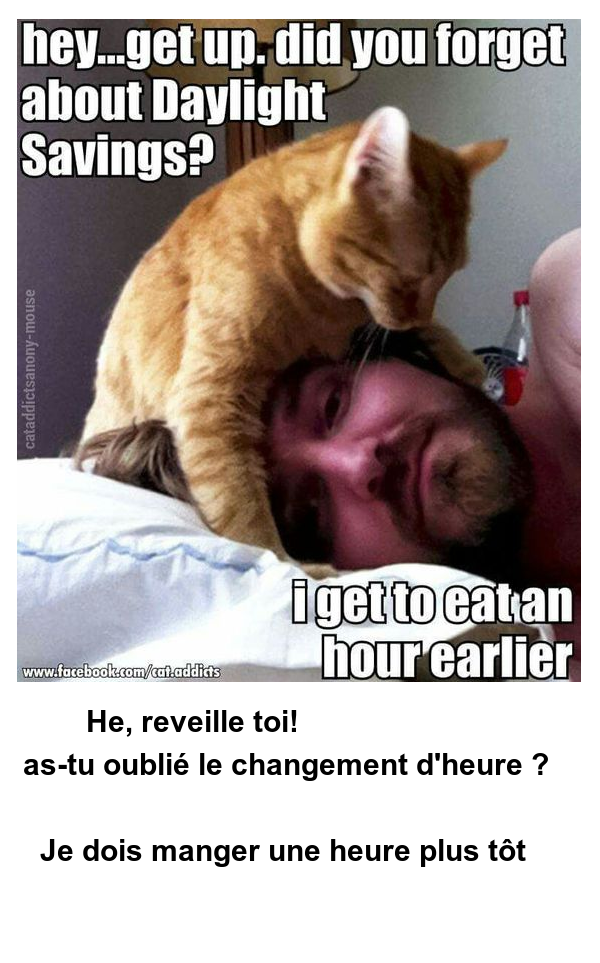 Mon image