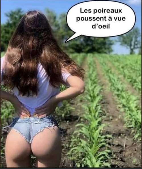 2025-09-24 19_08_10-Param?tres