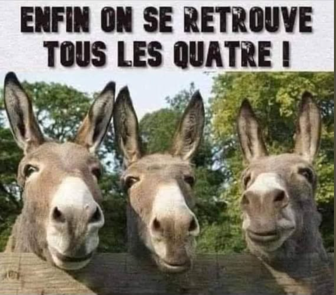 2025-09-24 19_07_46-Param?tres