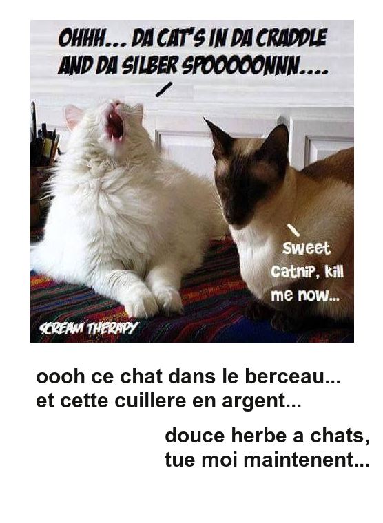 Mon image