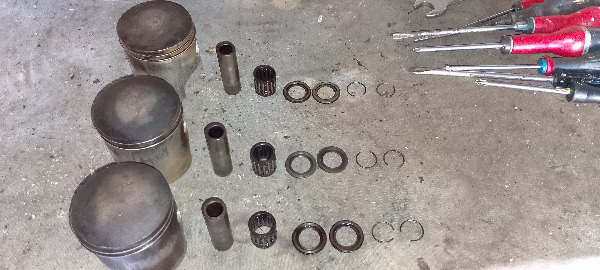 IMG_20251004_173014-redimensionne-taille-moyenne.