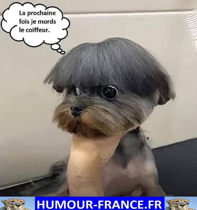 Mon image